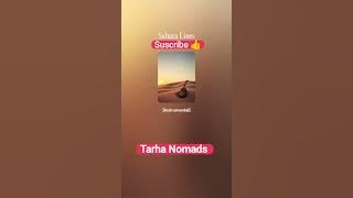 Sahara Lines -Tarha nomads 