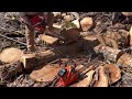 Efco MT8200 vs Echo 800P