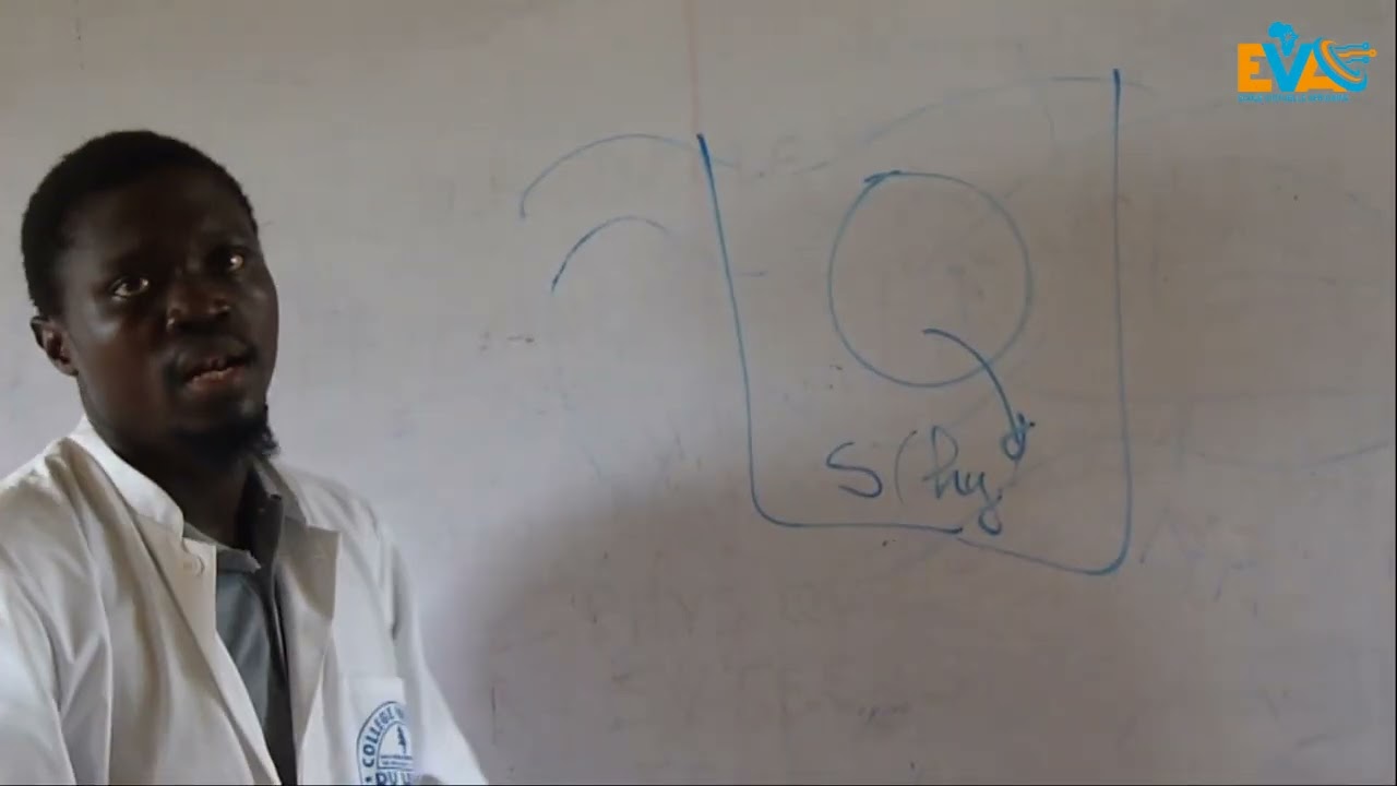 Correction epreuve zero SVT Tle D (Partie 1)