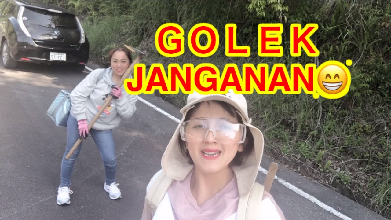 nyari rebung di gunung jepang