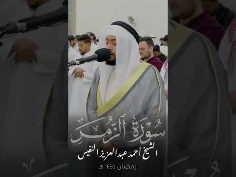 تلاوة هادئة من سورة الزمر الشيخ أحمد النفيس