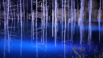 暗闇に浮かぶ「青い池」