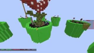 Skywars Hacker on BeanBlockz