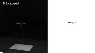 Flappy Hummingbird: An Open Source Dynamic Simulation of Flapping Wing Robots and Animals