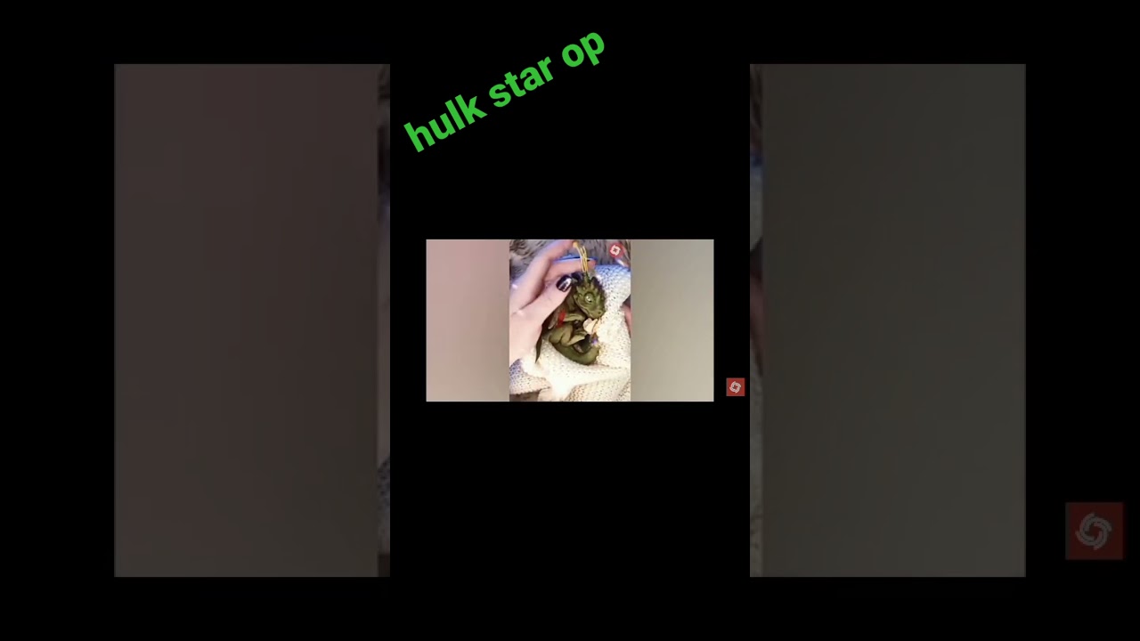 cute animal transportation wild animal