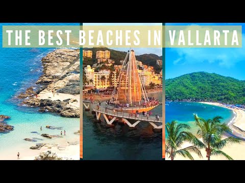 Video: Những bãi biển hàng đầu ở Puerto Vallarta