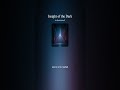 Insight of the Dark PL/ANG