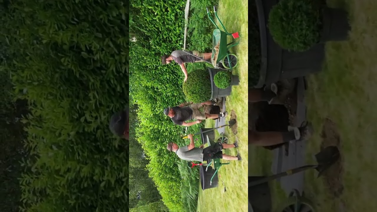 Planting & Plants By Us⁠