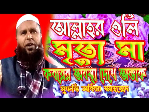 দুনিয়াতে-কি-আমল-করলে-কবরবাসী-শুয়ে-শুয়ে-পায়-।।মুফতি-সাব্বির-আহমেদর-সাহেব