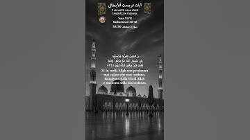 سورة محمد 38/30 itali/arabo#قران_كريم #quran