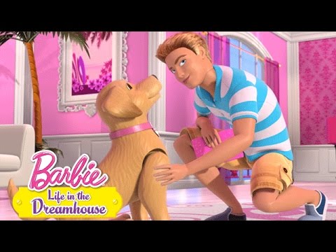 Video: „Alive Ken” A Decis Să-și Schimbe Imaginea și S-a Transformat într-o Barbie: Cum Arată Acum?