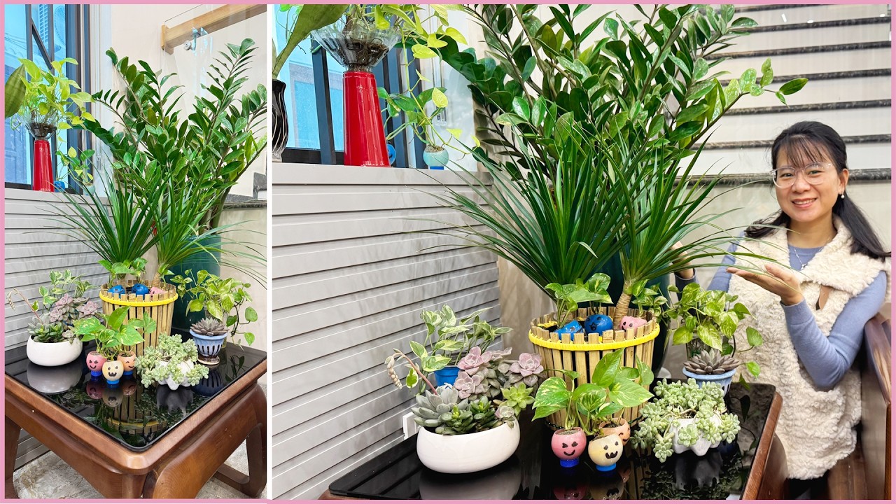 Комнатные растения, которые вам следует иметь! Размножайте растения, превращайте их в маленькие сады