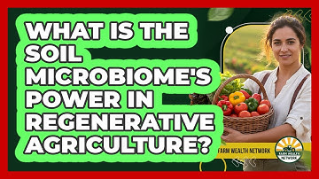 What Is The Soil Microbiome