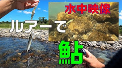 フィッシングおばら Youtube