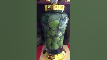 Đáng xem tác dụng thần thánh của Rượu trâu cổ!