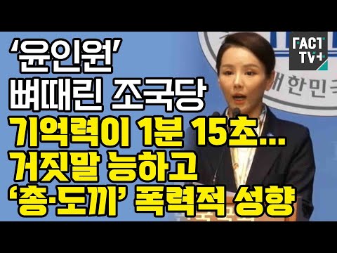 ‘윤인원’ 뼈때린 조국당 “기억력이 1분 15초...거짓말 능하고 ‘총·도끼’ 폭력적 성향”