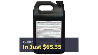 Ceramic Boat Coating - Exclusive-Details - Florida Boat Coating #shorts