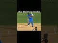 cricket lover #इतिहासके10प्रश्र #cricket #cricketlover#creative #viral #viratkohli