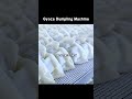 Gyoza Dumpling Machine #Gyoza #Dumpling #senymachinery #foodmachinery #foodmachine #senymachine