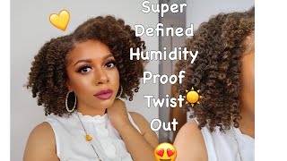 Famous How To Get A Super Defined HUMIDITY PROOF Twist Out! Natural Hair Styles Net Worth