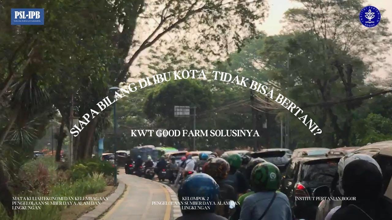 BERTANI DI LAHAN TERBATAS/ PEKARANGAN BERSAMA IBU KWT GOOD FARM DI TANGERANG SELATAN - FILM PENDEK