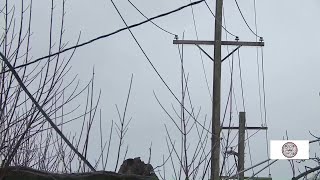 ComEd gives tips to stay safe and energy efficient during the extreme cold