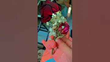 مااحكي خطية وانساي اصلي كل ناسي بيسان بيسان اسماعيل خطية حربين حب وحنان 