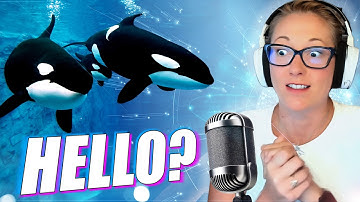 Scientists Use AI to Translate the Language of Whales