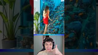 А ти Кои Избра? #shorts