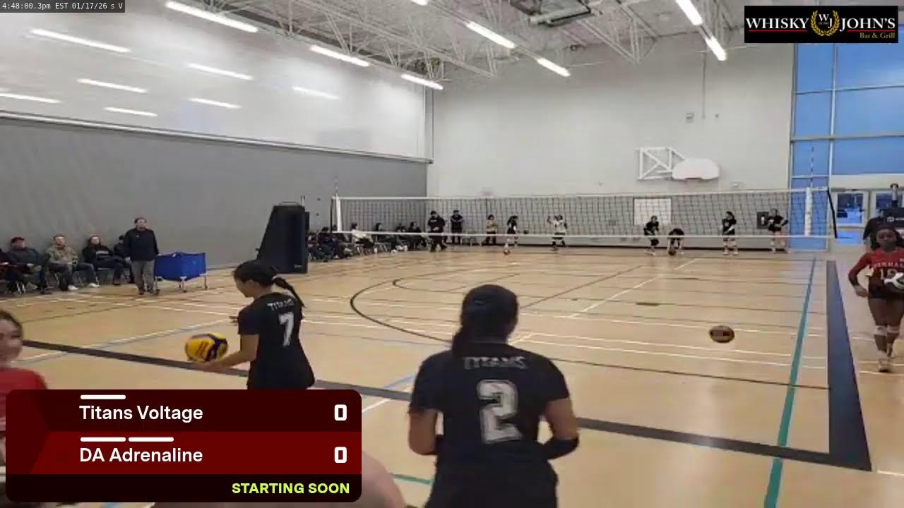 DA Adrenaline (2026.01.17)