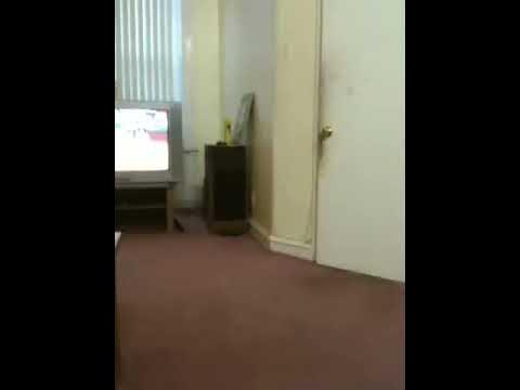 Uuuggghhh - YouTube