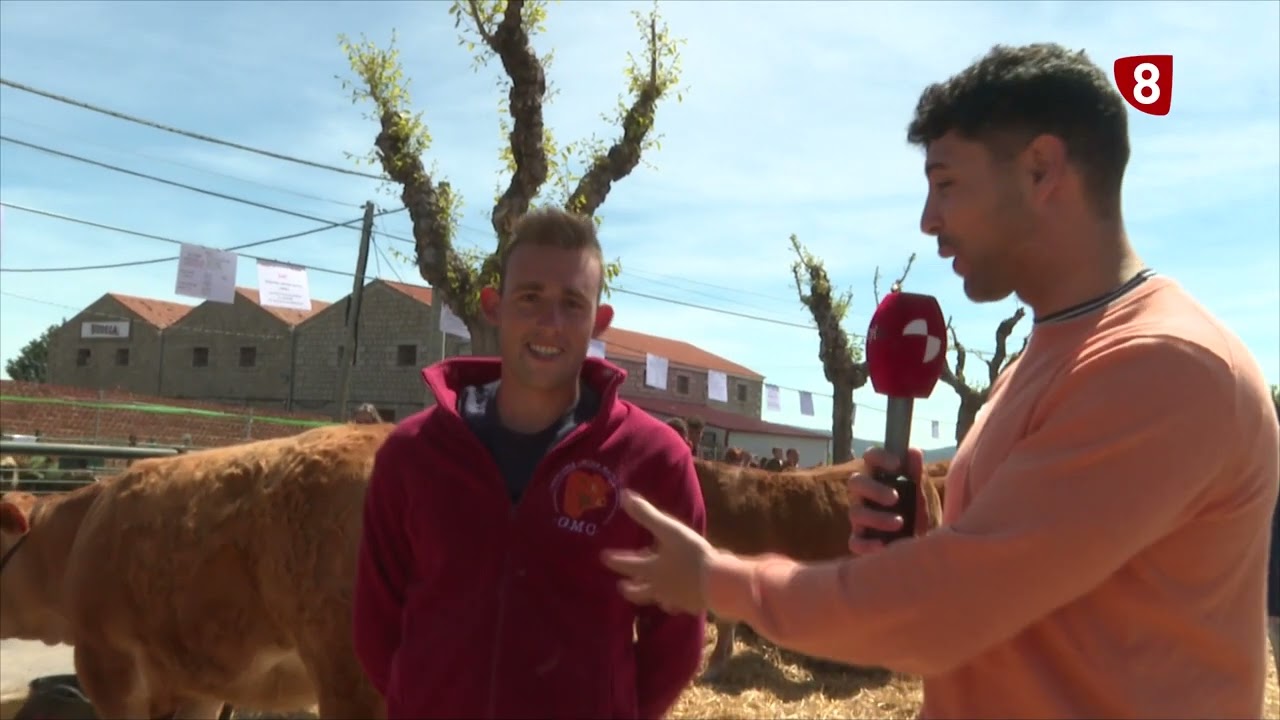 REPORTAJE FERIA DE GANADO DE EL BARRACO 8-5-2024