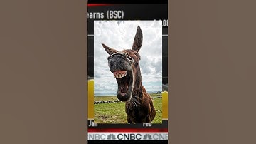 Jim Cramer is a total idiot #shorts