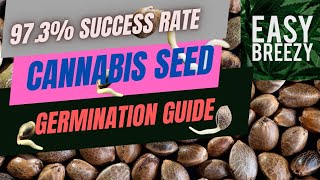 How to germinate Cannabis seeds with 97.3% success rate