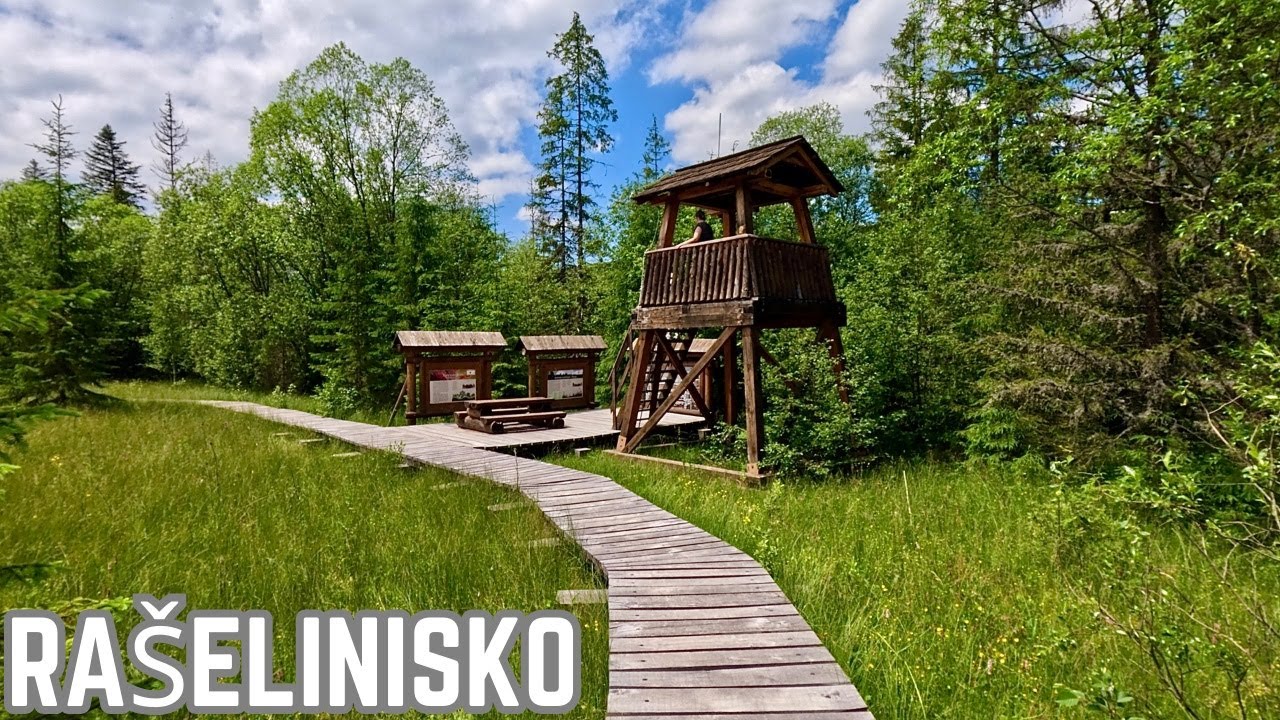 Rašelinisko Peciská: Národná Prírodná Rezervácia a Náučný Chodník (Orava, Oravská Magura)