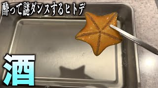 ヒトデを酒に泳がして酔わせた結果。。。#shorts