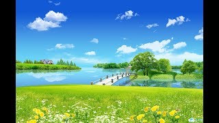 Rules Of Survival Naof