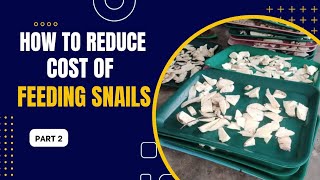 HOW TO REDUCE COST OF FEEDING SNAILS
