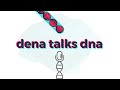 Dena talks dna introduction