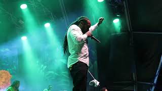 Bushman - Legalize It (Live at Rototom Sunsplash 2019)