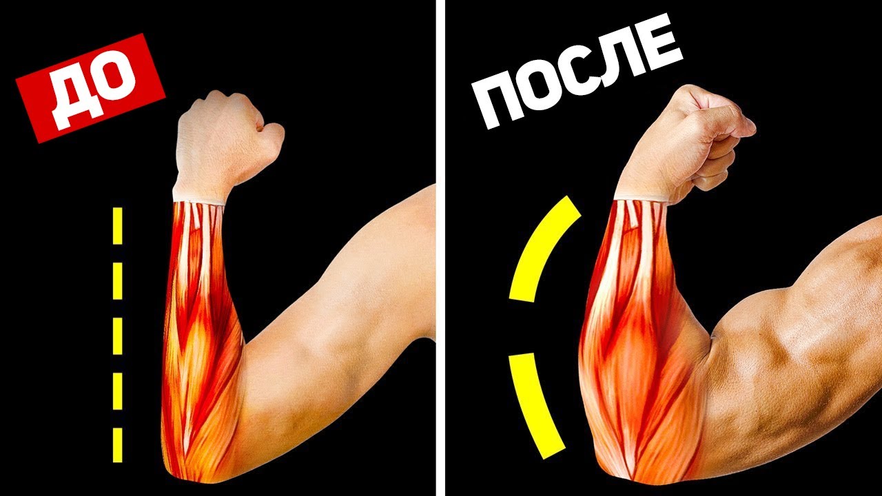 Эволюция силы хвата. Пять Лучших упражнений на предплечья