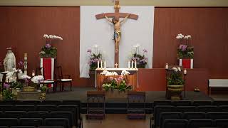 STM Livestream (Spanish): 1:00PM Sunday Mass