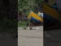 🦆#duck #beach #beachtime #beachvibes #animals #animal #birds #boat #pets #pet #nature #jungle #sand