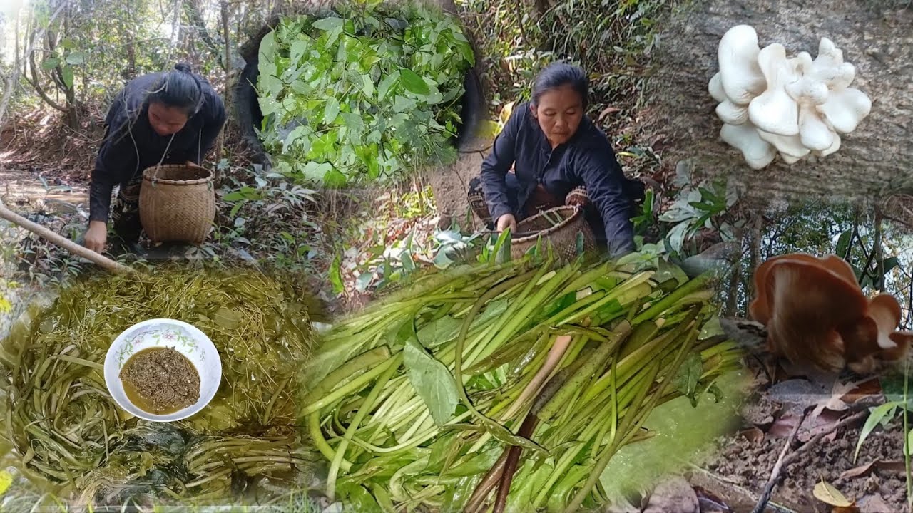 2 มีนาคม ค.ศ. 2026