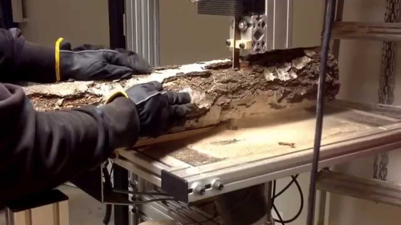 Cutting a Log with my home made Band saw