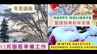 「西雅圖生活」Merry Christmas and Happy New Year after winter solstice winter garden chores聖誕快樂新年健康如意️