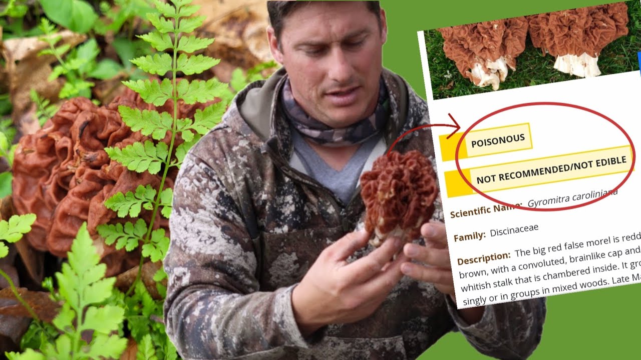 Eating a Known POISONOUS Mushroom Difference between False and True