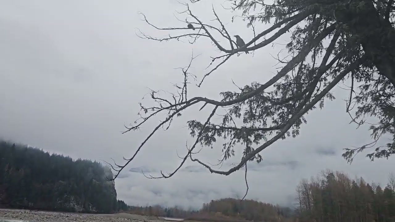 Possible Alternative View of Trudeau's Cap On Oil And Gas Emissions