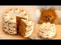 Carrot Cake FOR DOGS | RECIPE | Paddington's Pantry