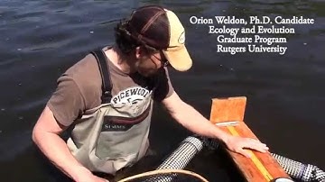 Raritan River Fish Passage & PIT Tagging Study